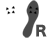 L